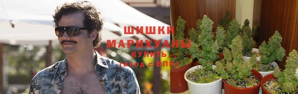 a pvp Кодинск