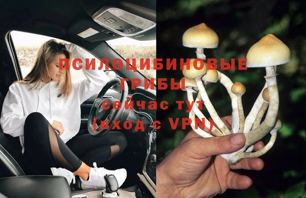 a pvp Кодинск