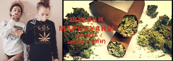 PSILOCYBIN Козельск
