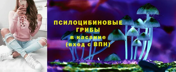 PSILOCYBIN Козельск