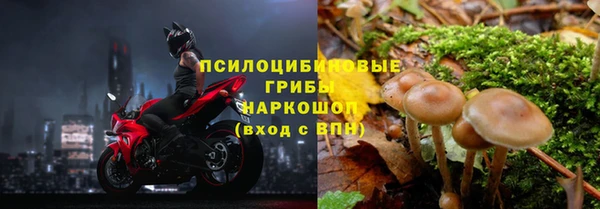 PSILOCYBIN Козельск