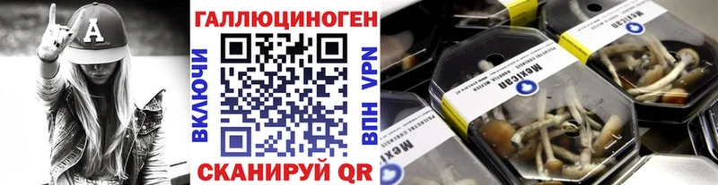 Галлюциногенные грибы мицелий  Купить  Кировград 